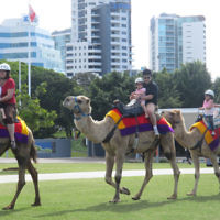 Alex Kats entered this photo taken in Queensland. Alex Kats entered this photo taken in Queensland.