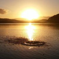 David2
David Helman entered this sunset photo taken at Narooma, NSW. David2
David Helman entered this sunset photo taken at Narooma, NSW.