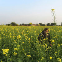 Louise Evans entered this photo taken on the road to Jaipur, India in December 2015. Louise Evans entered this photo taken on the road to Jaipur, India in December 2015.