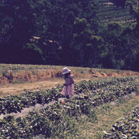Rita Broner entered this photo of Tali Sara Goodhardt on holidays in Bangkok in December 2015. Rita Broner entered this photo of Tali Sara Goodhardt on holidays in Bangkok in December 2015.