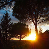 Tarnia Quigley entered this sunset photo. Tarnia Quigley entered this sunset photo.