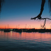 Ashleigh Broom entered this sunset photo taken at Moffat Beach.