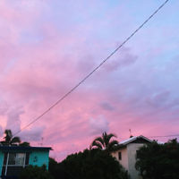 Ashleigh Broom entered this sunset photo taken at Moffat Beach.