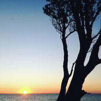 Devorah Adelist entered this sunset photo taken at Brighton beach, Victoria.Victoria. Devorah Adelist entered this sunset photo taken at Brighton beach, Victoria.Victoria.