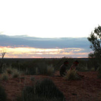 Jack Green entered this sunset photo taken in the Northern Territory. Jack Green entered this sunset photo taken in the Northern Territory.