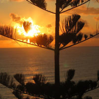 Marion Doobov entered this sunset photo. Marion Doobov entered this sunset photo.
