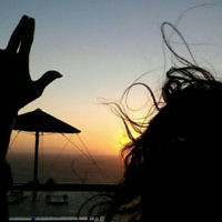 Patricia Phipps-Ellis entered this sunset photo. Patricia Phipps-Ellis entered this sunset photo.