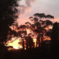Ula-Jane Llewellyn entered this sunset photo. Ula-Jane Llewellyn entered this sunset photo.