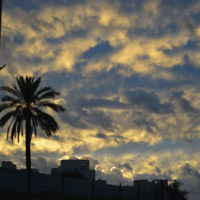 Yakira Ossip entered this sunset photo taken at Rechovot, Israel. Yakira Ossip entered this sunset photo taken at Rechovot, Israel.