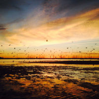 Zev Joseph entered this sunset photo taken at St Kilda Beach. Zev Joseph entered this sunset photo taken at St Kilda Beach.
