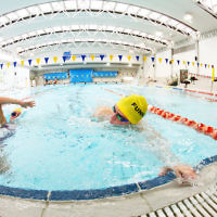 29-11-15. Maccabi Victoria swimathon at Bialik College. Photo: Peter Haskin