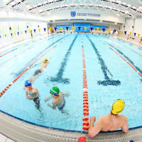 29-11-15. Maccabi Victoria swimathon at Bialik College. Photo: Peter Haskin