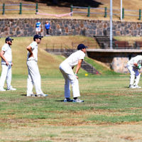 6-3-16. Maccabi Cricket Second XI fielding during their semi final win over South Yarra at Como Park.  Photo: Peter Haskin