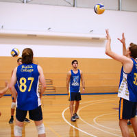23-3-16. Bialik College Alumni v Year 12 volleyball match.  Photo: Peter Haskin