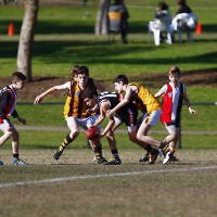 31-7-16. AJAX U14 Jets v Waverley Park Hawks at Princes Park Caulfield. Photo: Peter Haskin