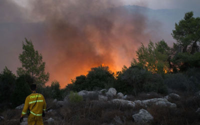 A firefigher at the scene of a bushfire which started on November 25 near Nataf, outside of Jerusalem. Photo: Yonatan Sindel/Flash90.