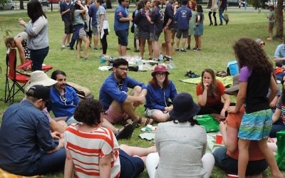 The picnic celebrating cultural diversity.