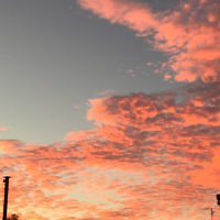 Alida Karro entered this sunset photo taken at Inverloch.