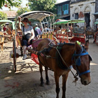 Beth Slutzkin entered this holiday photo taken in Myanmar. Beth Slutzkin entered this holiday photo taken in Myanmar.