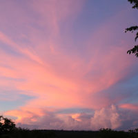 Natalie Cooper entered this photo taken at sunset in Zimbabwe.