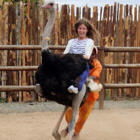 Natalie Cooper entered this photo of her daughter Lili Cooper taken in South Africa. Natalie Cooper entered this photo of her daughter Lili Cooper taken in South Africa.