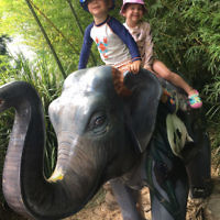 Yael Rothschild entered this photo of twins Jacob and Laila Richardson at the Royal Botanic Gardens, Melbourne.