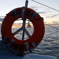 Ashley Morris entered this sunset photo taken on Waikiki Beach,  Hawaii.