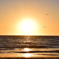 Francesca Stanton entered this sunset photo.