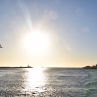 Francesca Stanton entered this sunset photo.