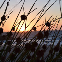 Rachel Stanton entered this sunset photo taken in Perth.