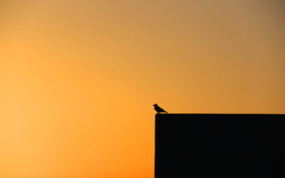 Michael Gordon’s winning sunset photo taken at Kibbutz Lavi in northern Israel.