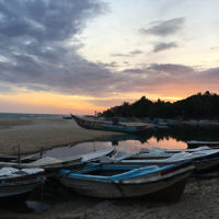 Talia Gordon entered this sunset photo.