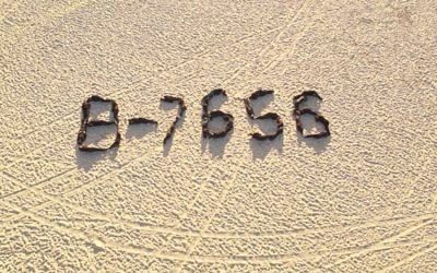 Larnce Gold's photograph, taken using a drone over Bondi Beach.