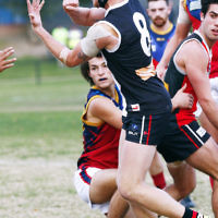 24-6-17. AJAX 14.11.95 def Parkdale 7.10.52 at Princes Park. Zak Fleischer. Photo: Peter Haskin