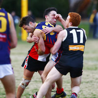 24-6-17. AJAX 14.11.95 def Parkdale 7.10.52 at Princes Park. Photo: Peter Haskin