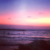 Alana Ramler entered this photo taken at sunset at Tel Aviv beach. Alana Ramler entered this photo taken at sunset at Tel Aviv beach.
