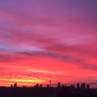 Denise Susman entered this sunset photo taken in Bondi Junction.