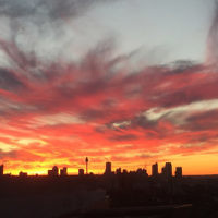 Denise Susman entered this sunset photo taken in Bondi Junction.