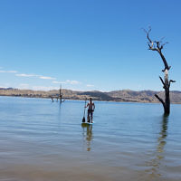 Diane Shonberg entered this photo of son Jeremy and dog at Hume Weir. Diane Shonberg entered this photo of son Jeremy and dog at Hume Weir.