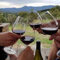 Diane Shonberg entered this holiday photo titled L’chaim taken at a Yarra Valley winery. Diane Shonberg entered this holiday photo titled L’chaim taken at a Yarra Valley winery.