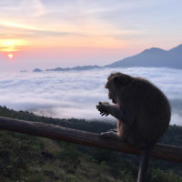 Edward Baral entered this photo was taken at sunrise overlooking Mt Agung in Bali.
