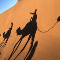Jenny Lewin and daughter Jackie on a camel ride in the Sahara Desert. Jenny Lewin and daughter Jackie on a camel ride in the Sahara Desert.