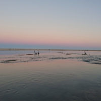 Jeremy Shonberg entered this sunset photo taken at The Entrance, NSW.