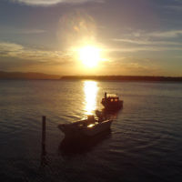 Jeremy Shonberg entered this sunset photo taken at Foster, NSW.