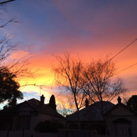 Natalie Adler entered this sunrise photo taken in Caulfield.