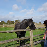 Peter Shonberg entered this holiday photo of his wife Diane making friends with a horse in the English countryside. Peter Shonberg entered this holiday photo of his wife Diane making friends with a horse in the English countryside.