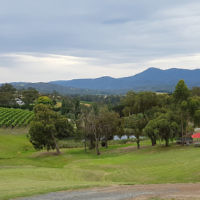 Peter Shonberg entered this holiday photo of his daughter Rebecca at a Yarra Valley winery. Peter Shonberg entered this holiday photo of his daughter Rebecca at a Yarra Valley winery.