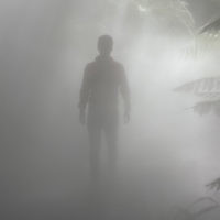 Peter Shonberg entered this holiday photo of son Jeremy taken on a misty Canberra morning. Peter Shonberg entered this holiday photo of son Jeremy taken on a misty Canberra morning.