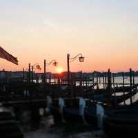 Sally Wolifson entered this sunset photo taken in Venice, standing in St Marks Square. Sally Wolifson entered this sunset photo taken in Venice, standing in St Marks Square.