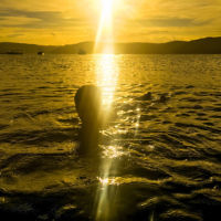 Teri Lichtenstein took this photo of her son enjoying a sunset swim at Palm Beach on the northern NSW coast. Teri Lichtenstein took this photo of her son enjoying a sunset swim at Palm Beach on the northern NSW coast.